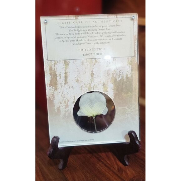 Limited Edition The Twilight Saga:  Breaking Dawn - Part 1 Wedding Photo with Mo - Picture 3 of 10